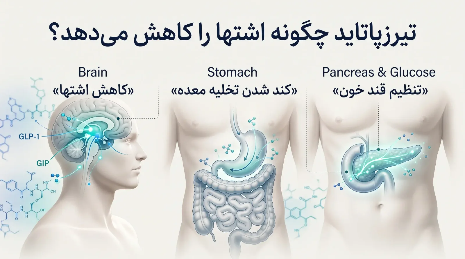 آمپول لاغری تیرزپاتاید